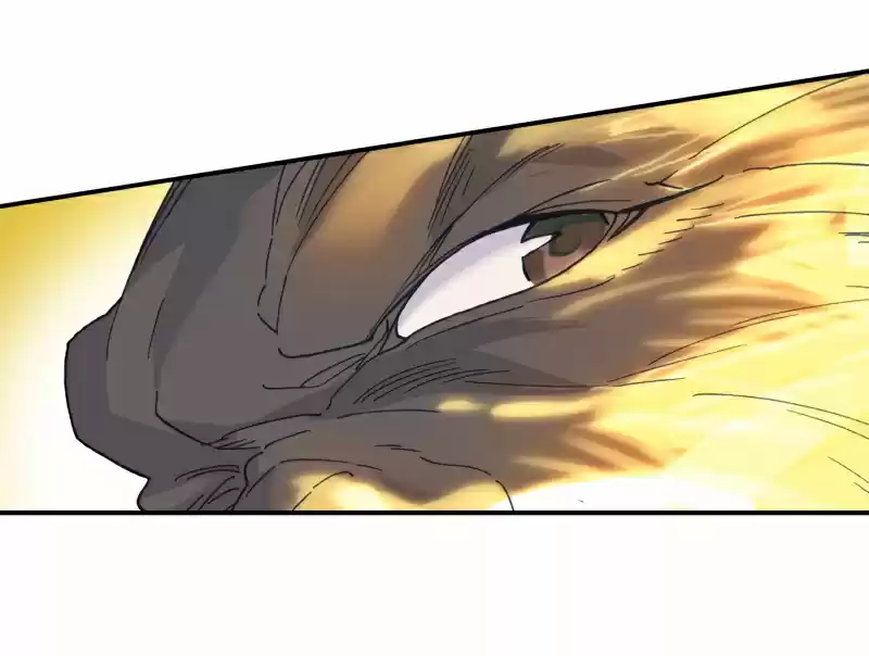 Soul Land II - The Peerless Tang Sect 242