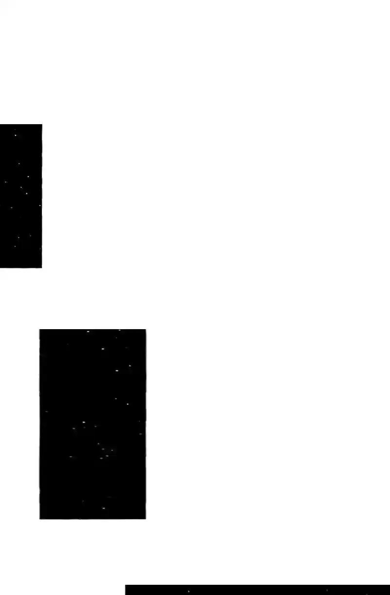 Space Boy Chapter 209: