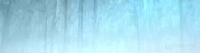 Spare Me, Great Lord! Chapter 42