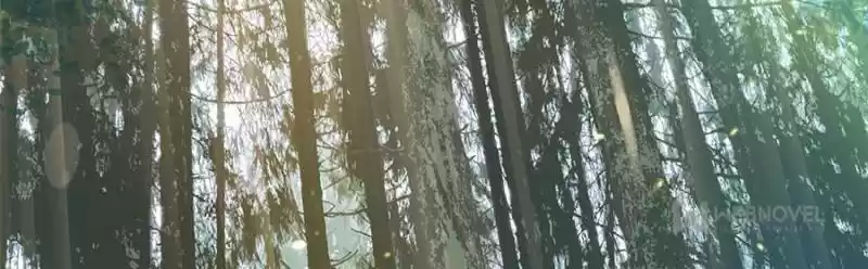 Spare Me, Great Lord! Chapter 77