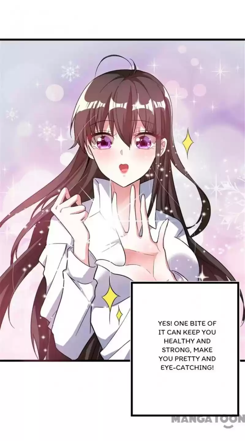 Spicy Wife's Reborn World Chapter 1