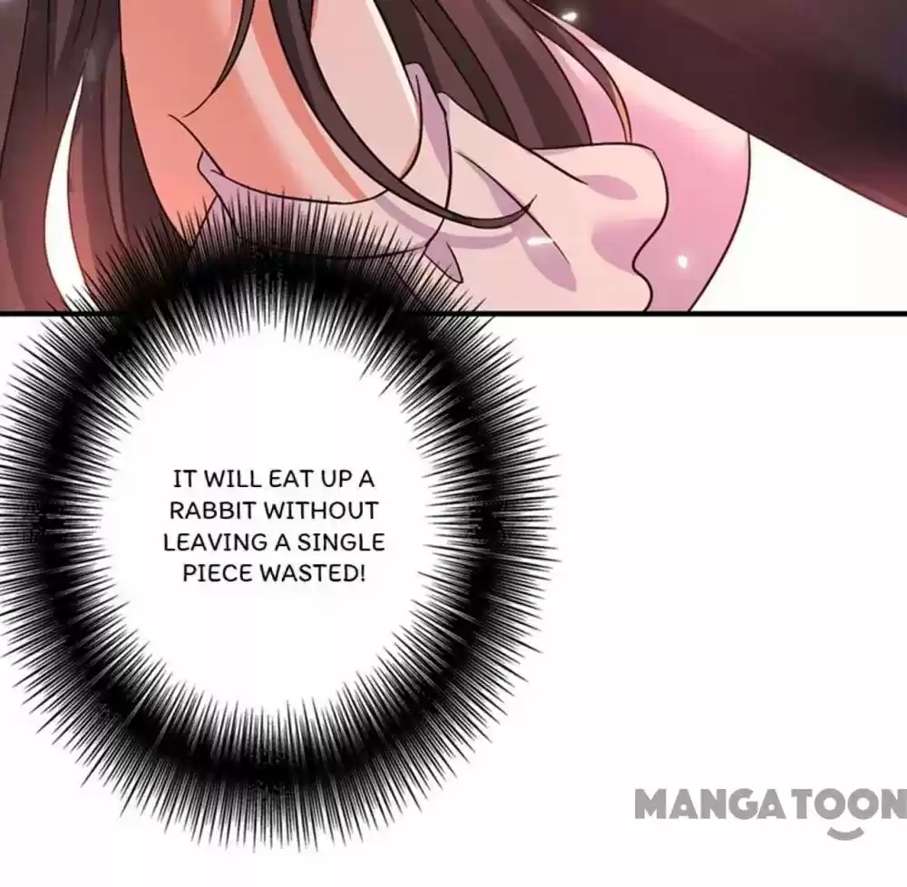 Spicy Wife's Reborn World Chapter 14