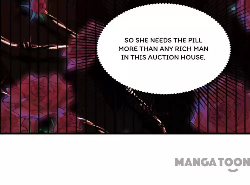 Spicy Wife's Reborn World Chapter 213