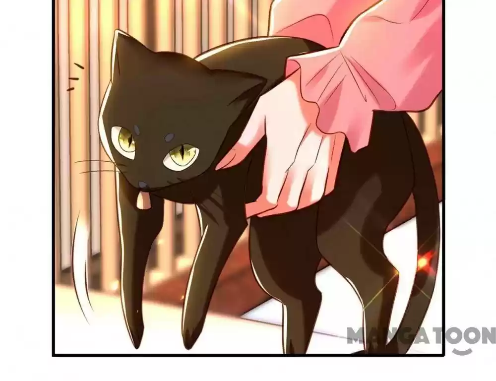 Spicy Wife's Reborn World Chapter 253