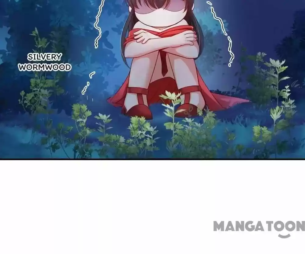 Spicy Wife's Reborn World Chapter 27