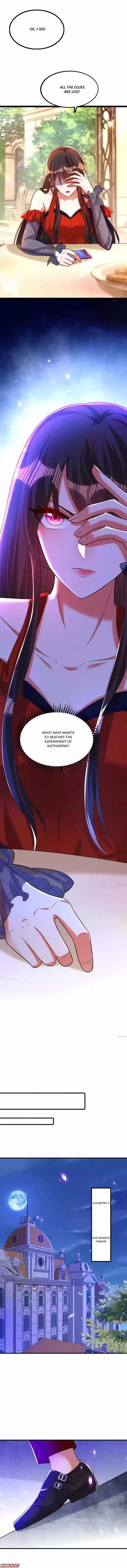 Spicy Wife's Reborn World Chapter 291