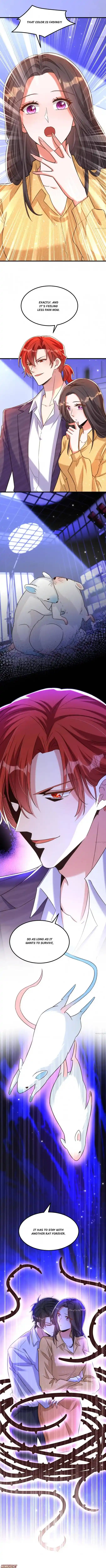 Spicy Wife's Reborn World Chapter 347