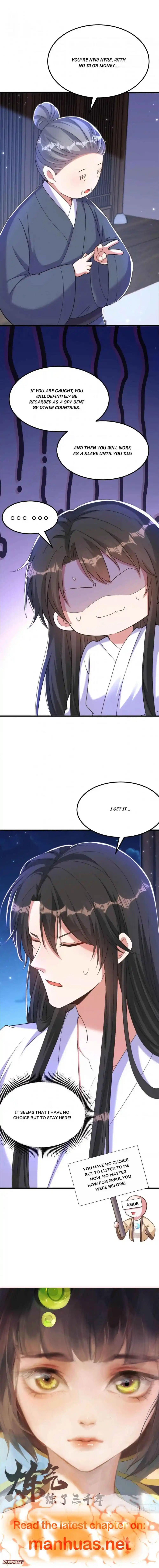 Spicy Wife’s Reborn World Chapter 393