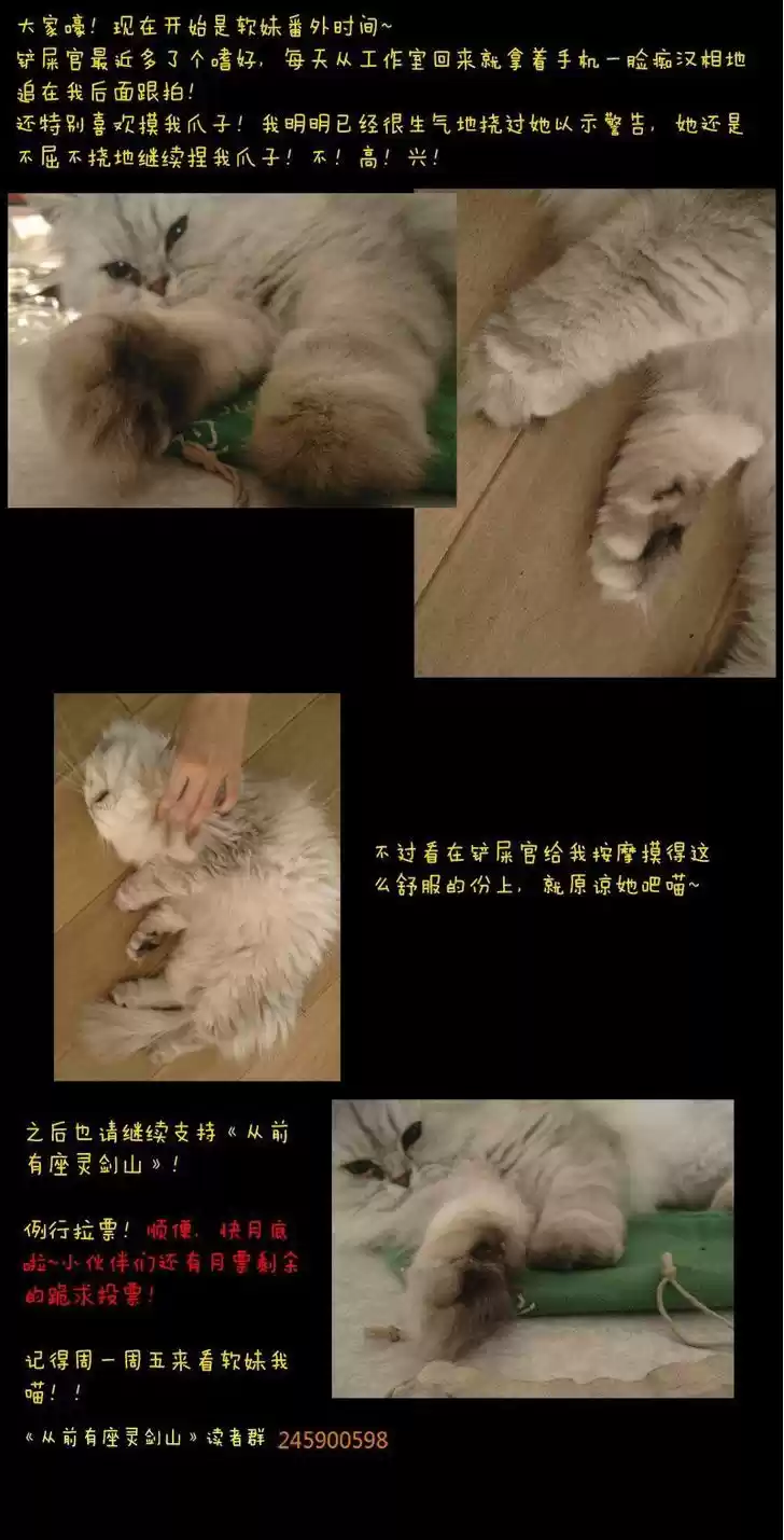 Spirit Blade Mountain 23