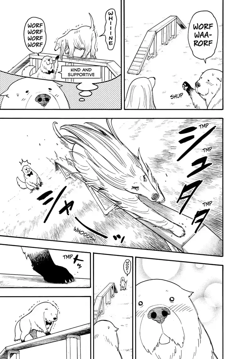 Spy X Family Chapter 62.5