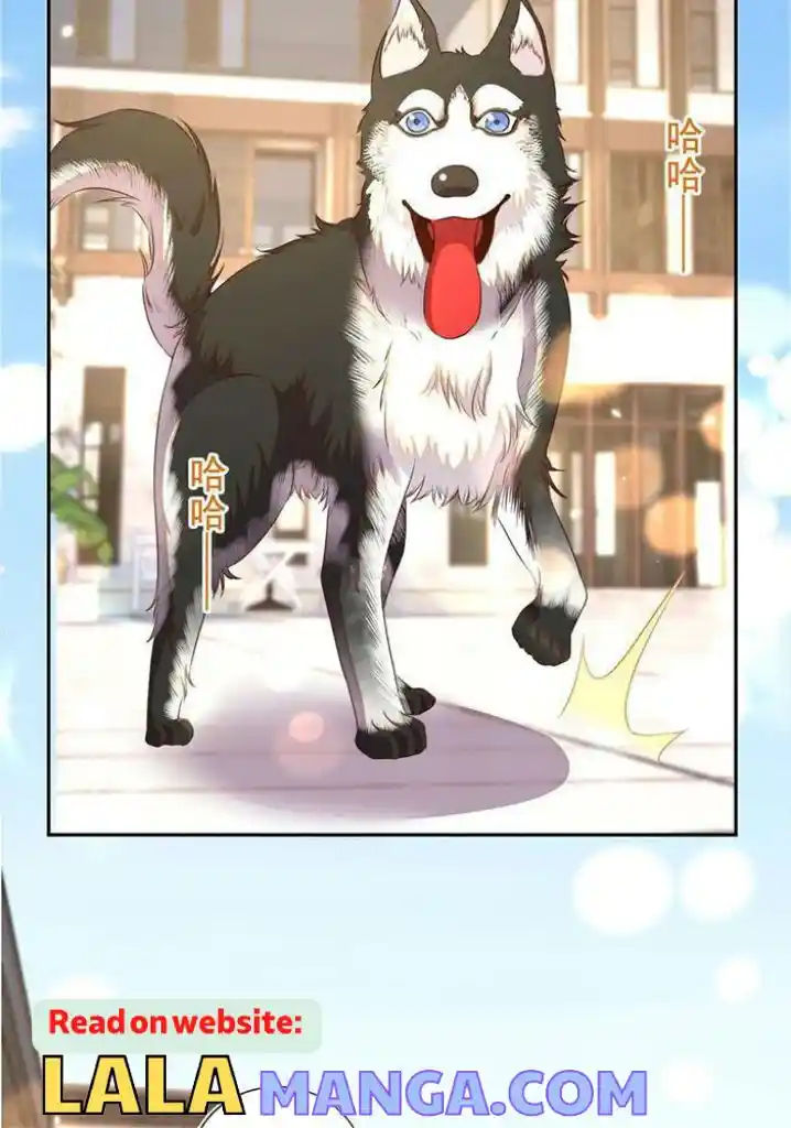 Stop Bothering Me, Emperor! Chapter 101