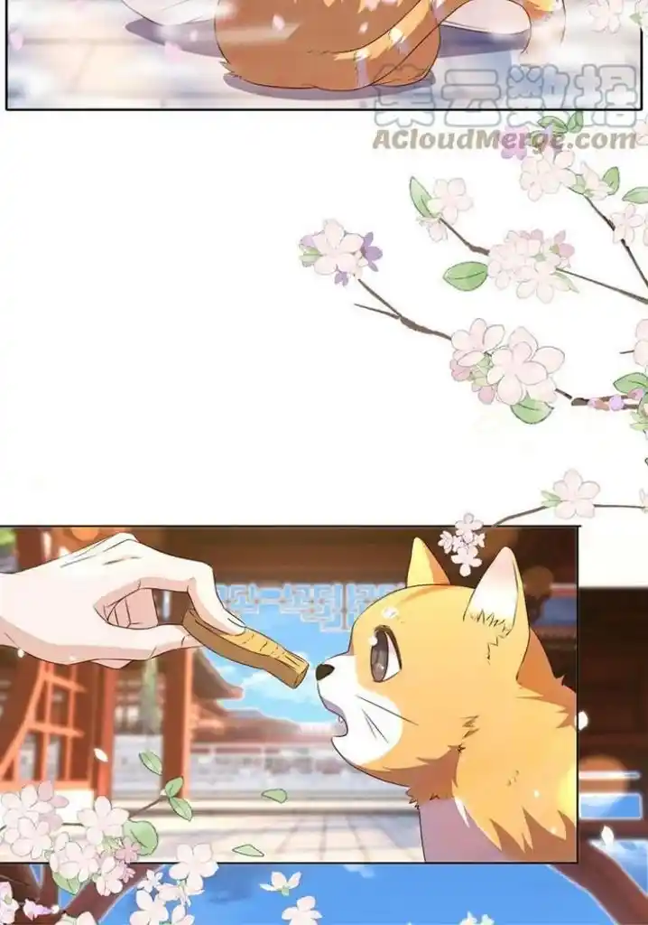 Stop Bothering Me, Emperor! Chapter 110