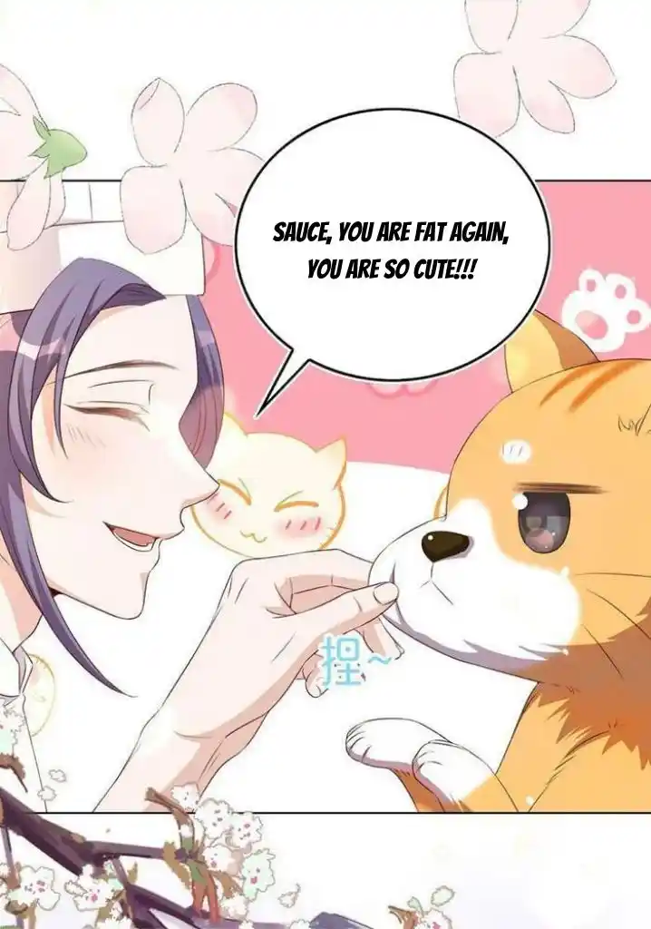 Stop Bothering Me, Emperor! Chapter 110