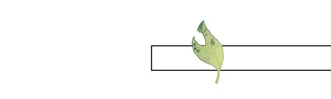 Stop Bothering Me, Emperor! Chapter 14.2