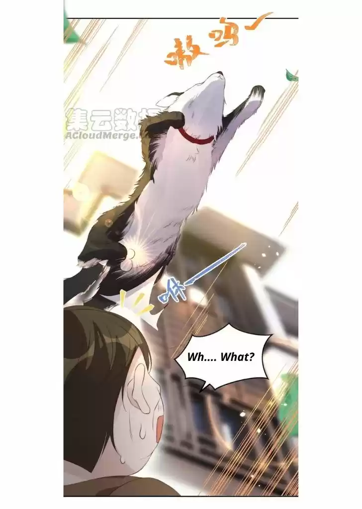 Stop Bothering Me, Emperor! Chapter 29