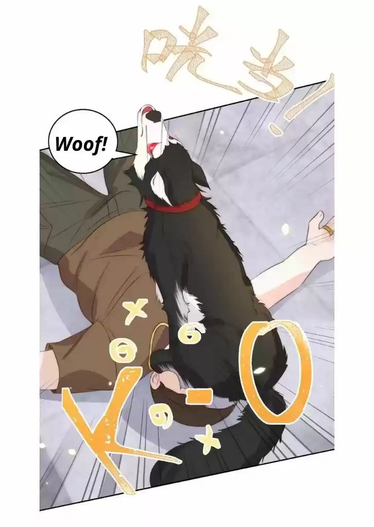 Stop Bothering Me, Emperor! Chapter 29