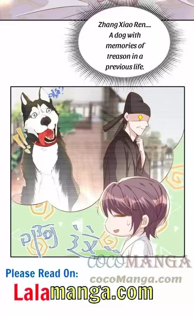 Stop Bothering Me, Emperor! Chapter 67