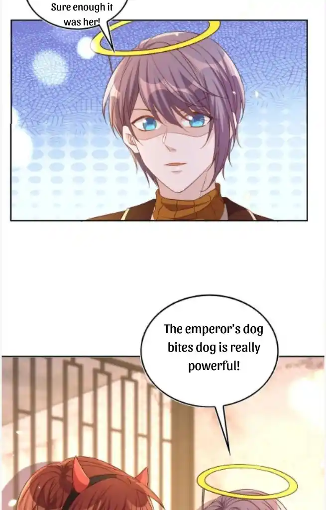 Stop Bothering Me, Emperor! Chapter 82