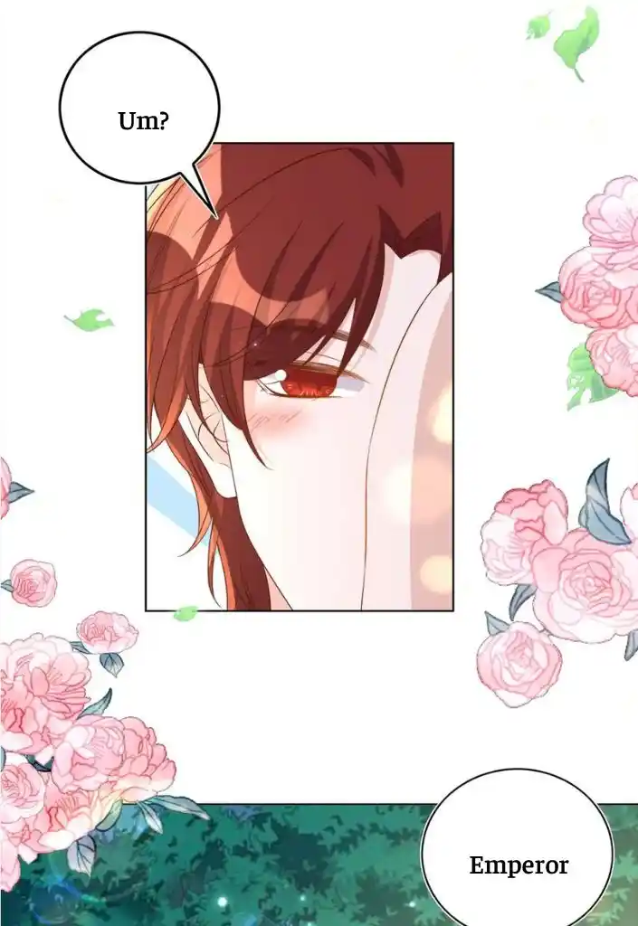 Stop Bothering Me, Emperor! Chapter 91