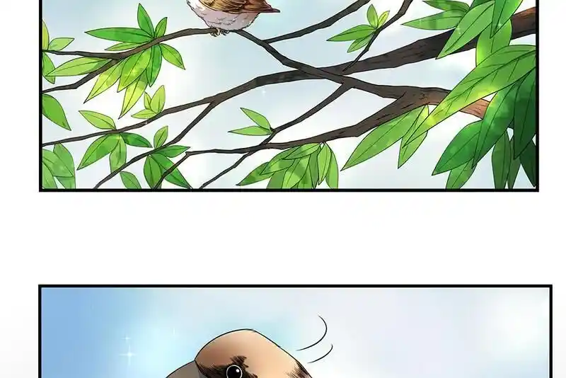 Strange Store Ch.033