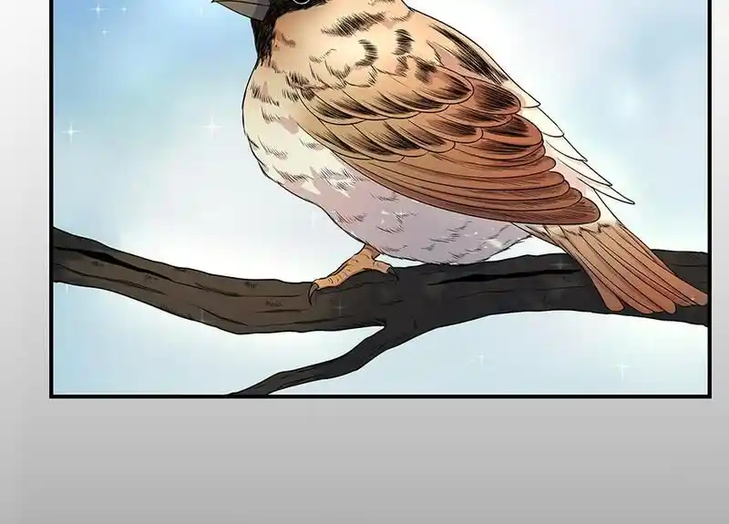 Strange Store Ch.033