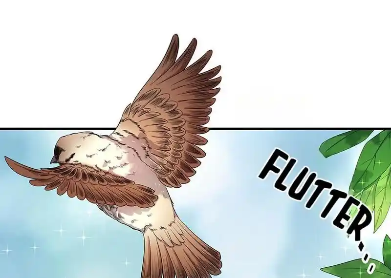 Strange Store Ch.033