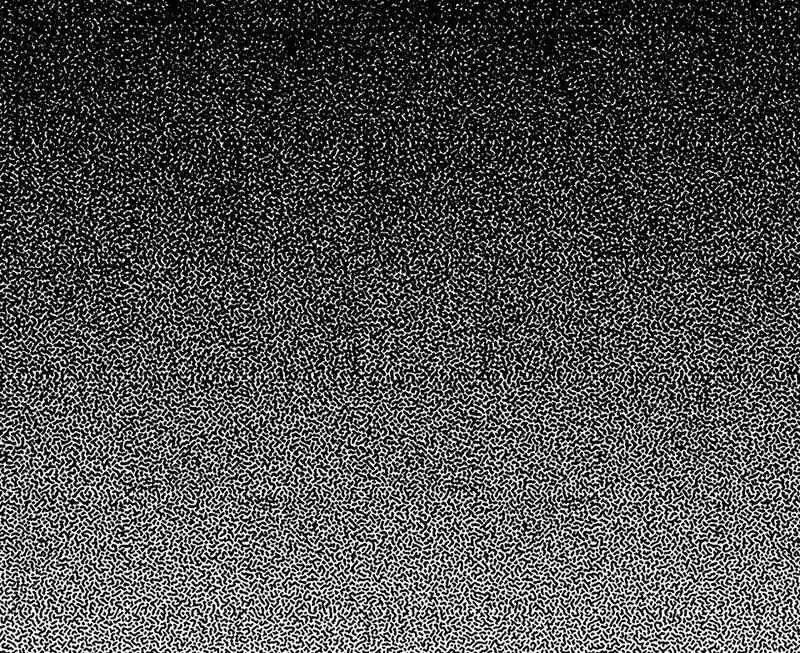 Strange Store Ch.037