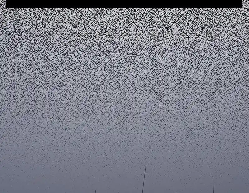 Strange Store Ch.038