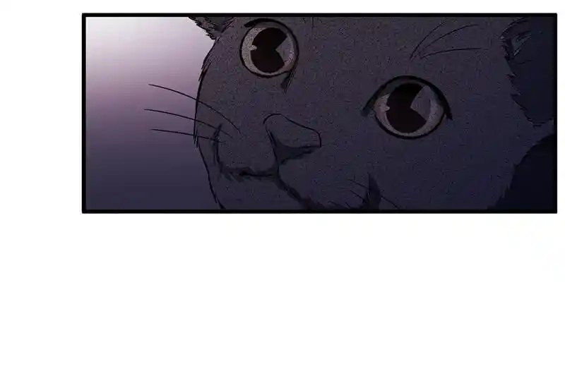 Strange Store Ch.041