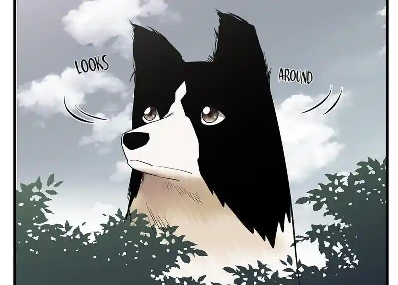 Strange Store Ch.079