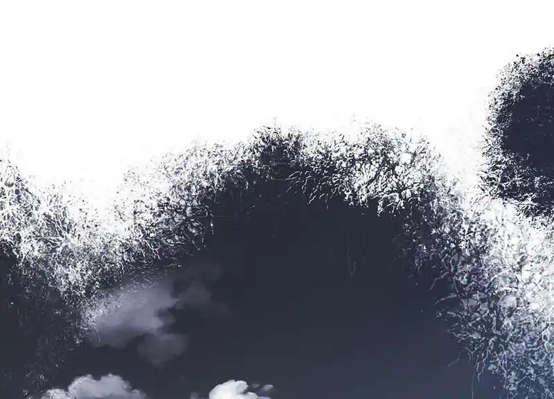 Strange Store Ch.084