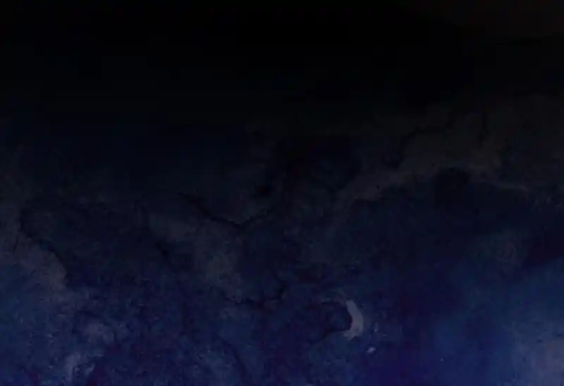 Strange Store Ch.085