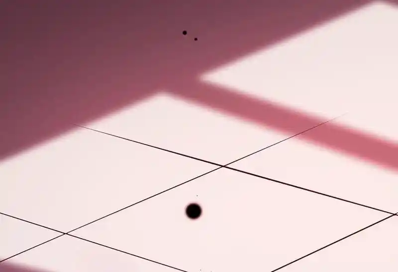 Strange Store Ch.085