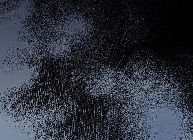 Strange Store Ch.098