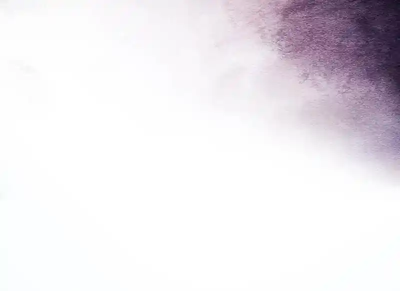 Strange Store Ch.102