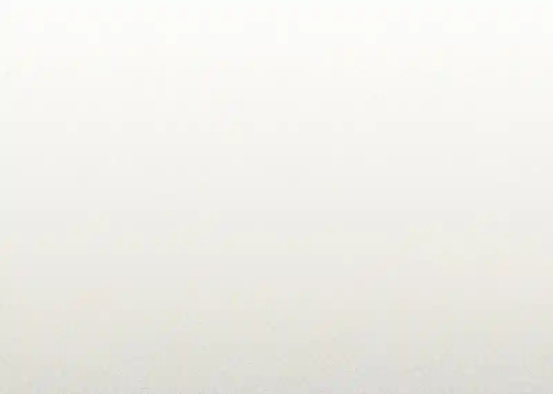 Strange Store Chapter 67