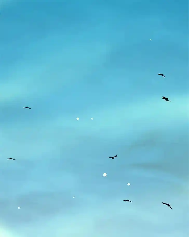 SubZero (Junepurrr) Ch.081