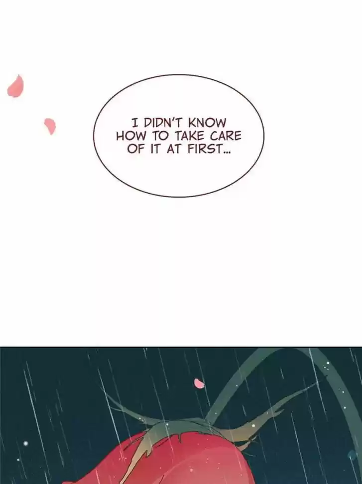 Sugar Addiction Vol.05 Ch.101