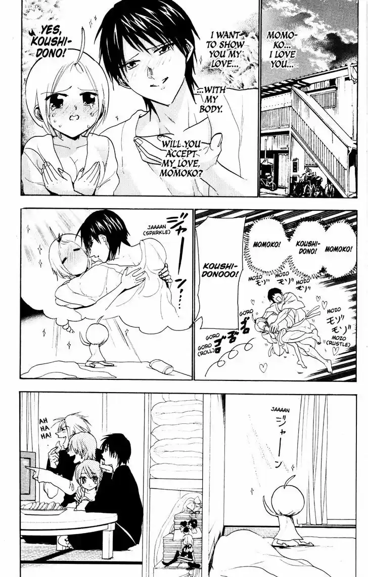 Sumomomo Momomo 53.5