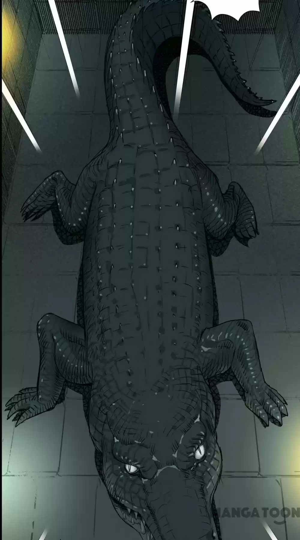 Super Cube Chapter 33