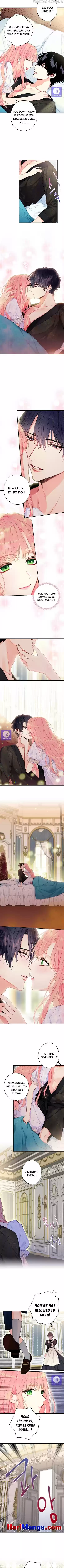 Survive As The Hero's Wife Chapter 115