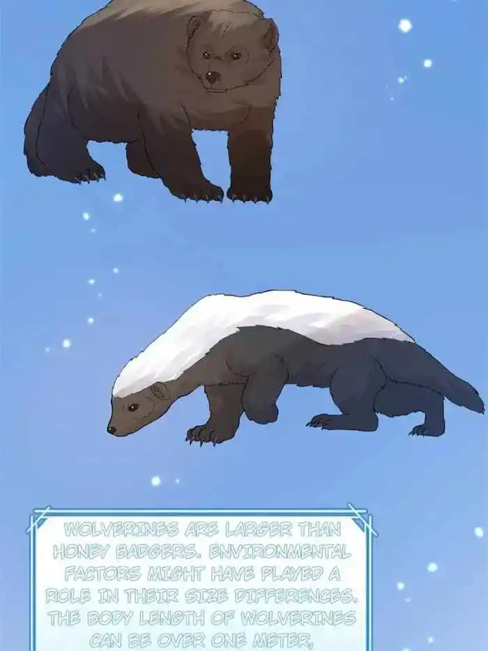 Survive On A Deserted Island With Beautiful Girls Chapter 229