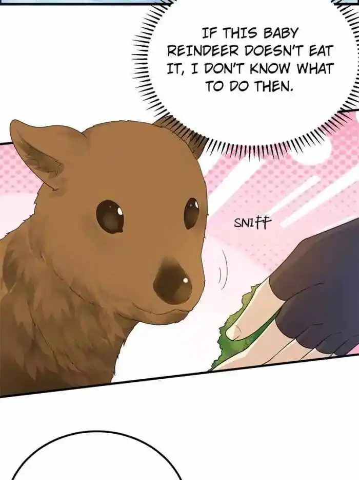 Survive On A Deserted Island With Beautiful Girls Chapter 232