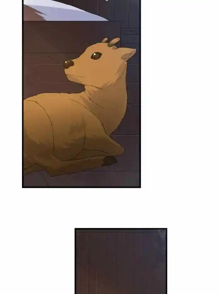 Survive On A Deserted Island With Beautiful Girls Chapter 232