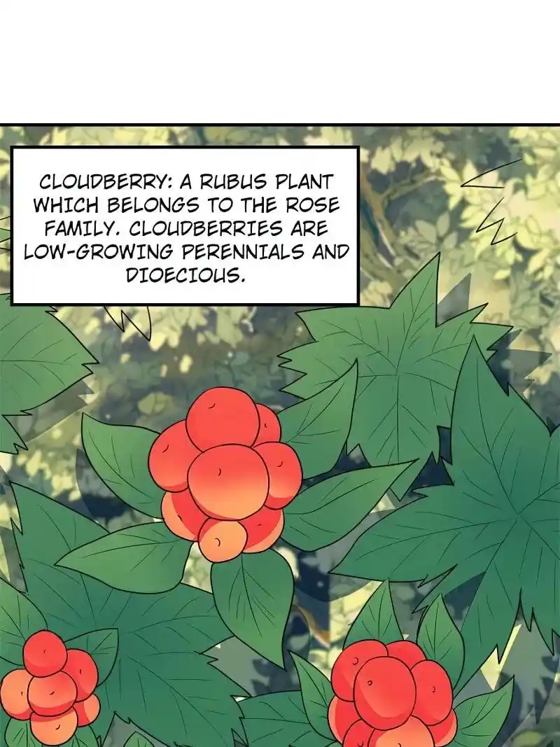 Survive On A Deserted Island With Beautiful Girls Chapter 233