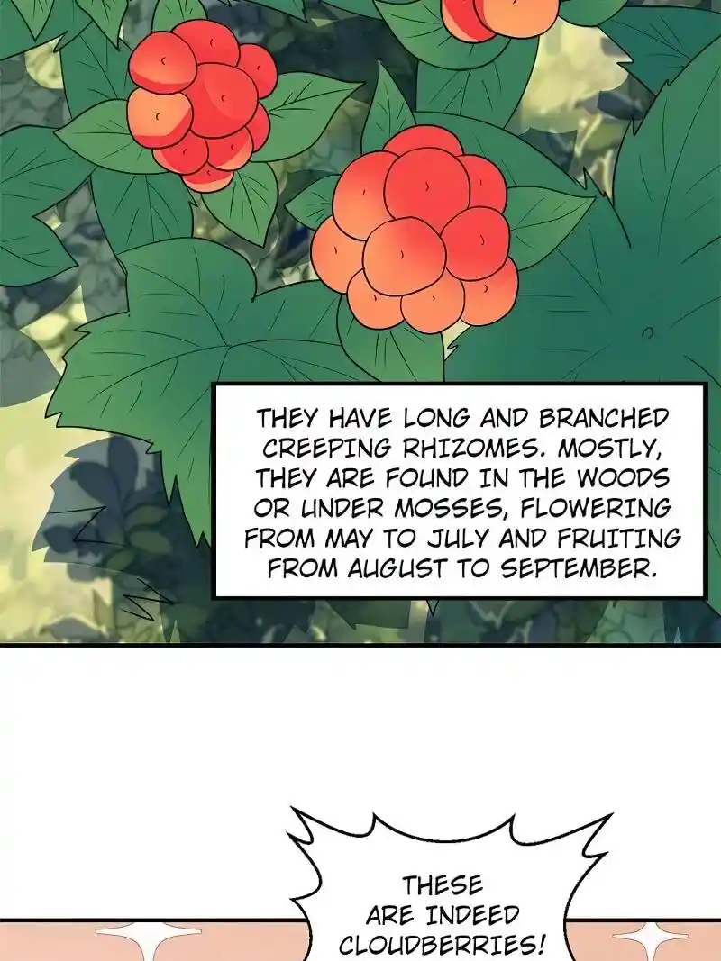 Survive On A Deserted Island With Beautiful Girls Chapter 233