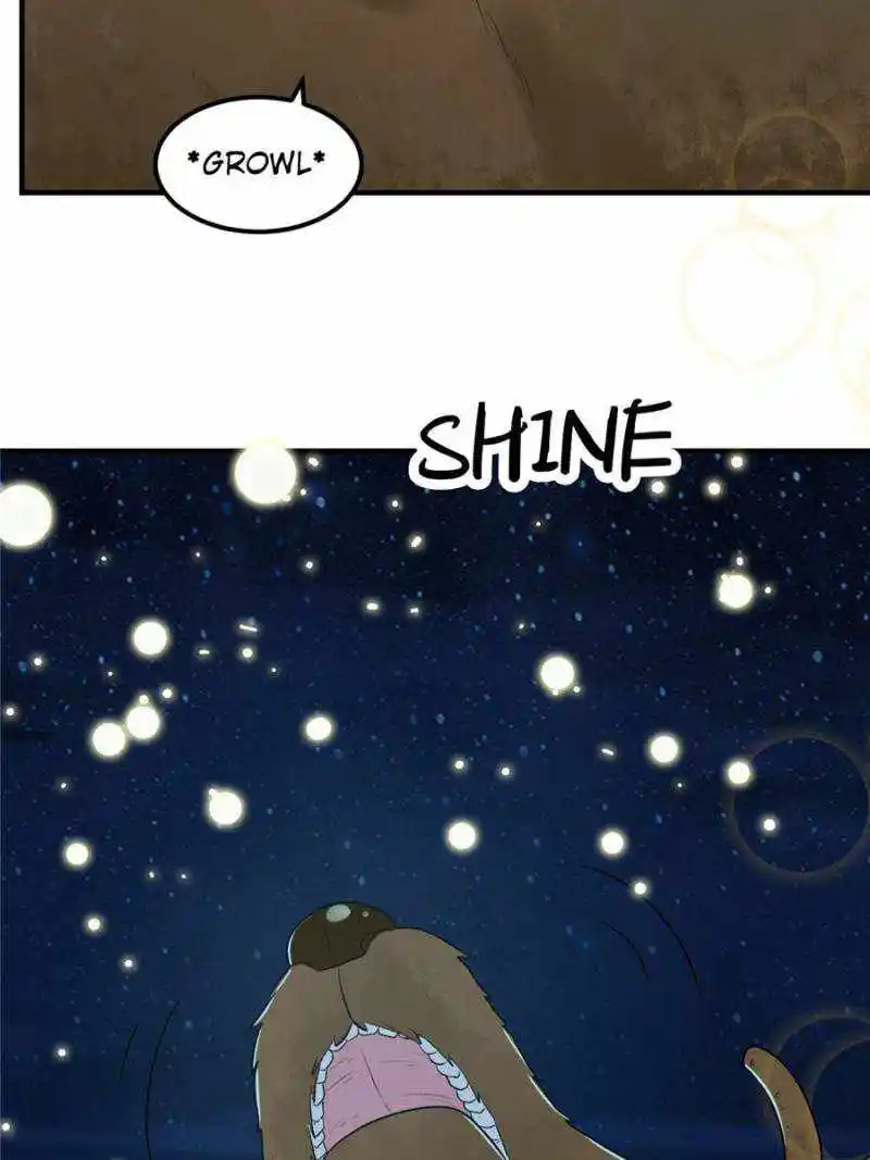 Survive On A Deserted Island With Beautiful Girls Chapter 251