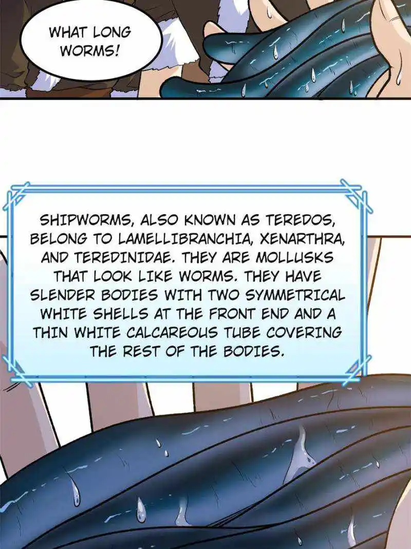 Survive On A Deserted Island With Beautiful Girls Chapter 262