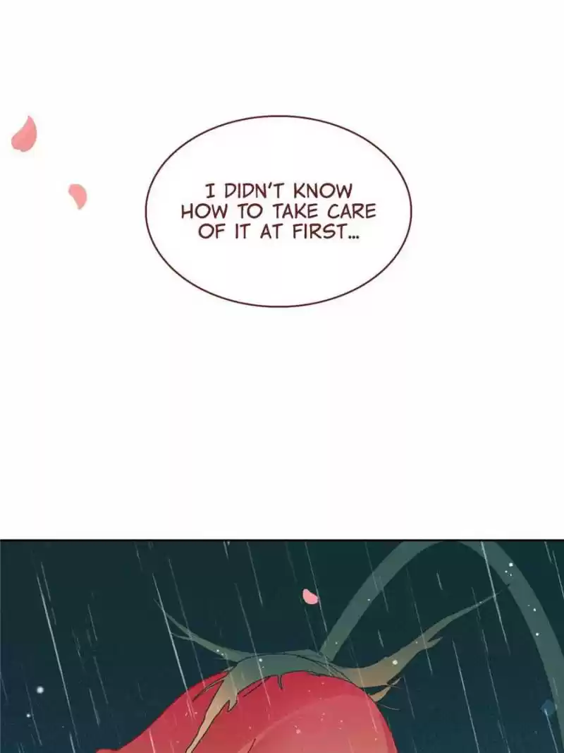 Sweet Love Chapter 101