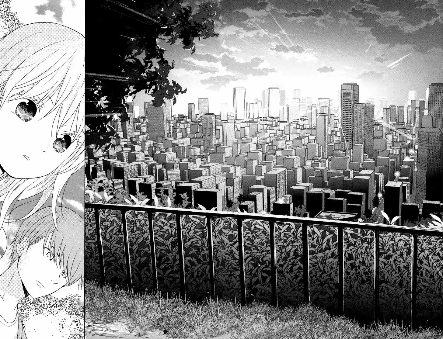 Taiyou no Ie 50.2